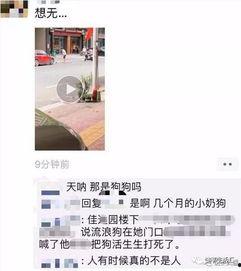 网友爆料男子被打死视频,网友爆料视频引发社会关注  第2张