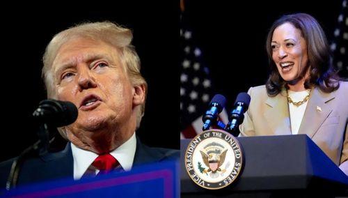 特朗普爆料哈里斯的视频,视频曝光惊人真相