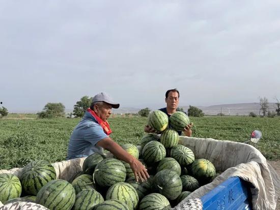 在线吃瓜视频免费一区,揭秘网络吃瓜界的秘密花园