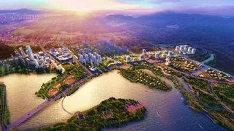 爆料阳湖二院事件视频,真相与争议交织