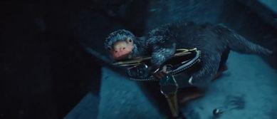 哈利波特最新爆料6月,神秘新篇章,揭秘6月重磅爆料! 第1张 哈利波特最新爆料6月,神秘新篇章,揭秘6月重磅爆料! 第1张